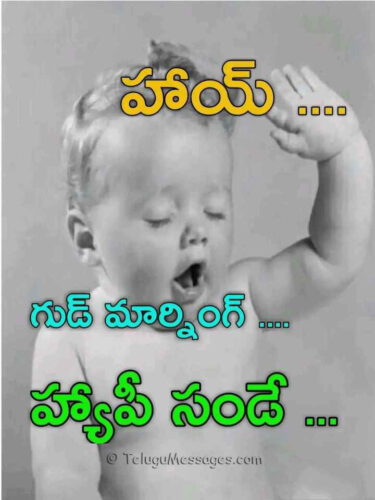 Happy Sunday Good Morning in Telugu - శుభోదయం Happy Sunday Good Morning in Telugu - శుభోదయం