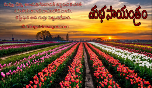 Beautiful Good Evening Pic - Quote on Hardwork Beautiful Good Evening Pic - Quote on Hardwork